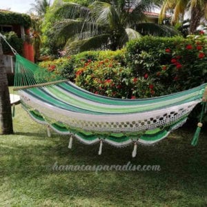 Hamaca familiar grande parrot